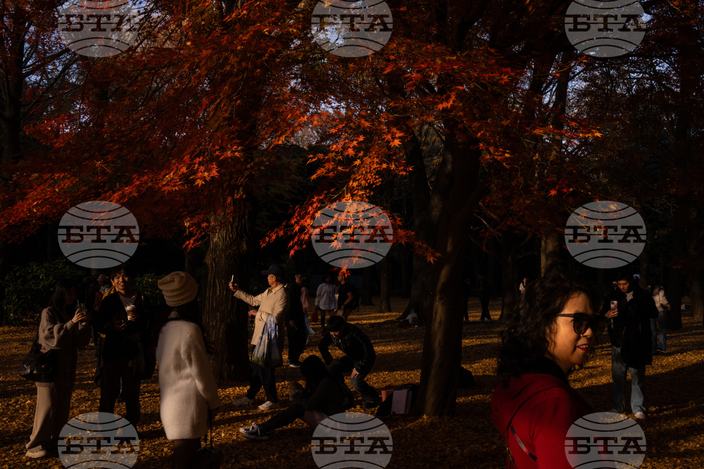 APTOPIX Japan Autumn Daily Life