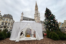 Belgium Nativity Theft