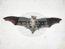 Снимка: Национална галерия