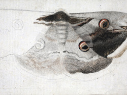 Снимка: Национална галерия