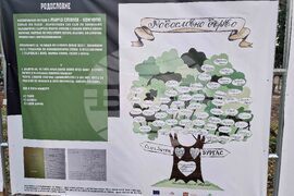 Стара Загора - род Ножчеви - изложба