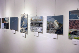 Русе - музей - изложба