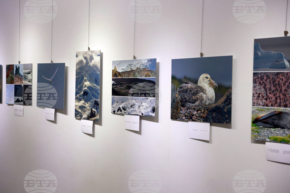 Русе - музей - изложба