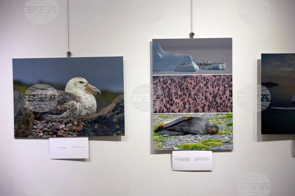 Русе - музей - изложба