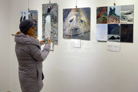 Русе - музей - изложба