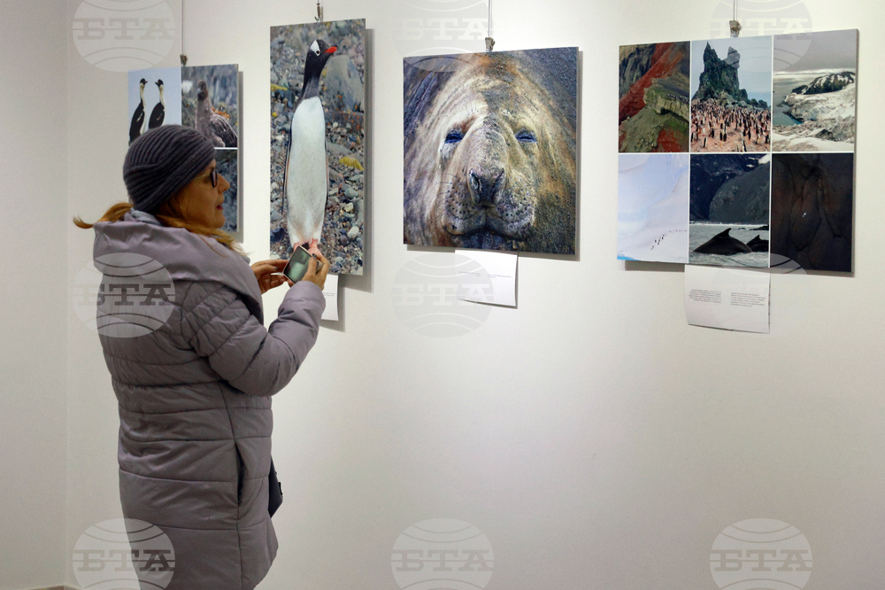 Русе - музей - изложба