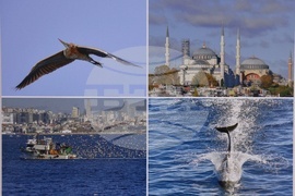 Русе - музей - изложба