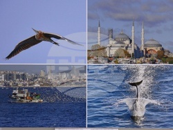 Русе - музей - изложба