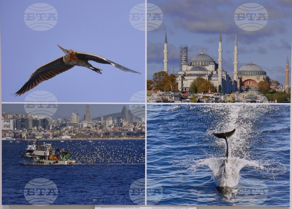 Русе - музей - изложба