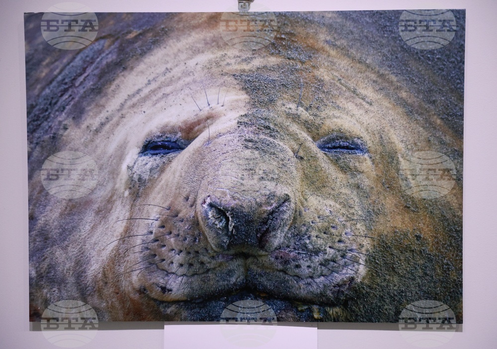 Русе - музей - изложба