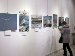 Русе - музей - изложба