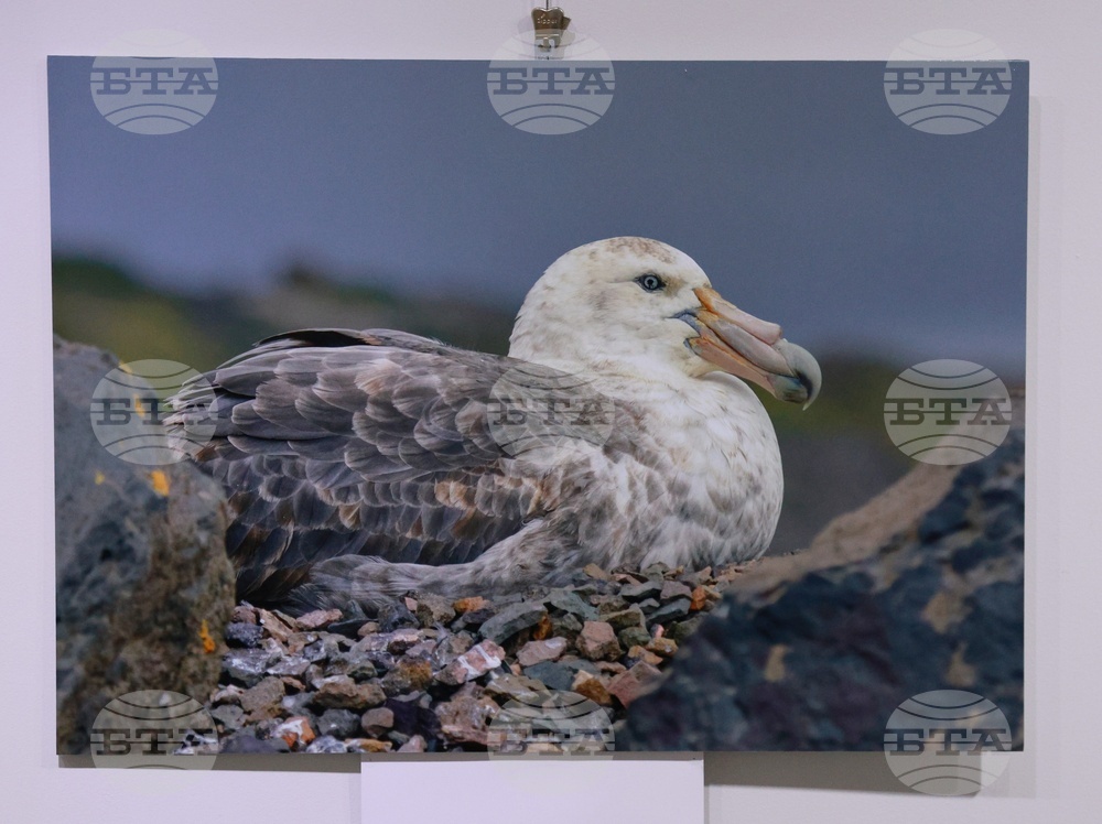 Русе - музей - изложба