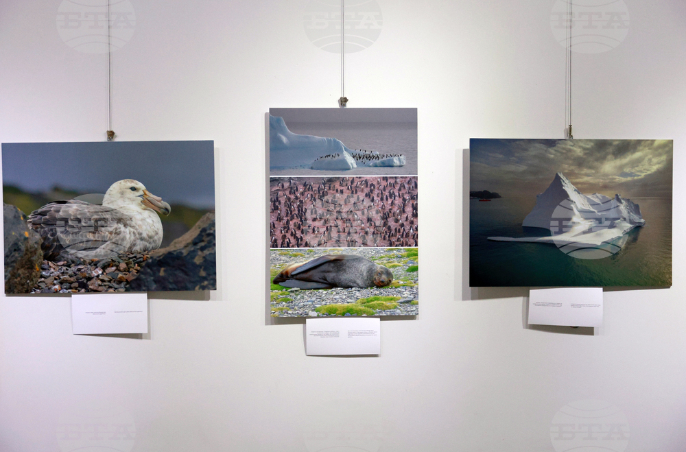 Русе - музей - изложба