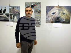 Русе - музей - изложба