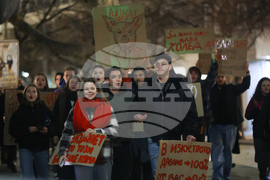 Протест - бюджет