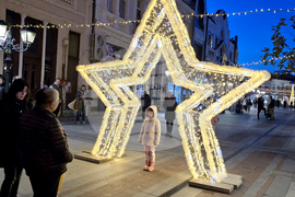 Видин - коледна елха - светлини - тържествено запалване