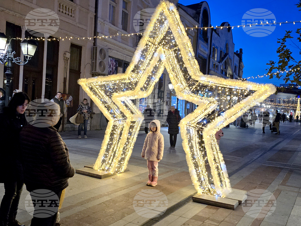 Видин - коледна елха - светлини - тържествено запалване