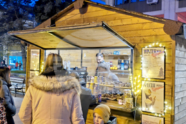 Видин - коледна елха - светлини - тържествено запалване