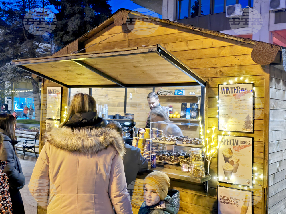 Видин - коледна елха - светлини - тържествено запалване