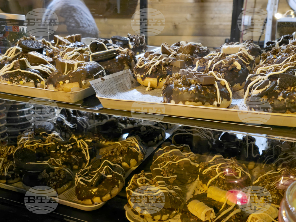 Видин - коледна елха - светлини - тържествено запалване