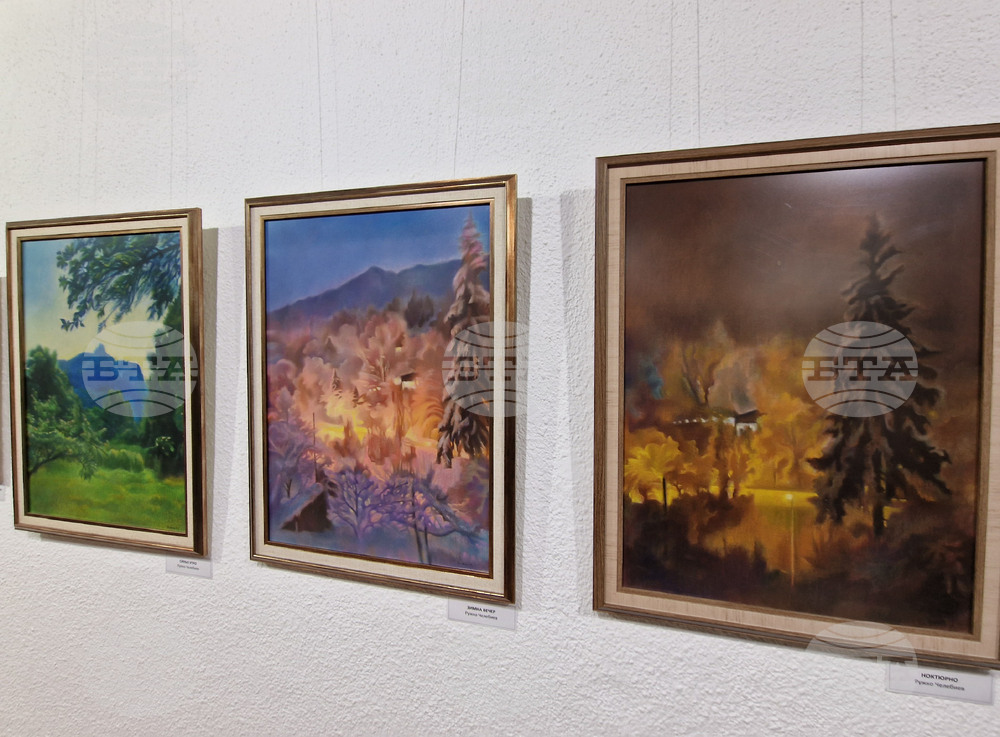 Смолян - изложба - художници