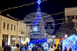 Видин - коледна елха - светлини - тържествено запалване