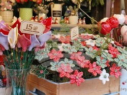 Румъния - Букурещ - коледни базари