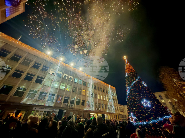 Габрово - елха - светлини