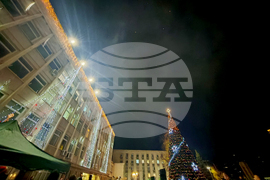 Габрово - елха - светлини