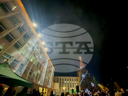 Габрово - елха - светлини