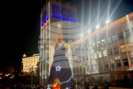 Габрово - елха - светлини