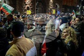 Протест - бюджет