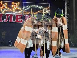 Плевен -  коледна елха - светлини