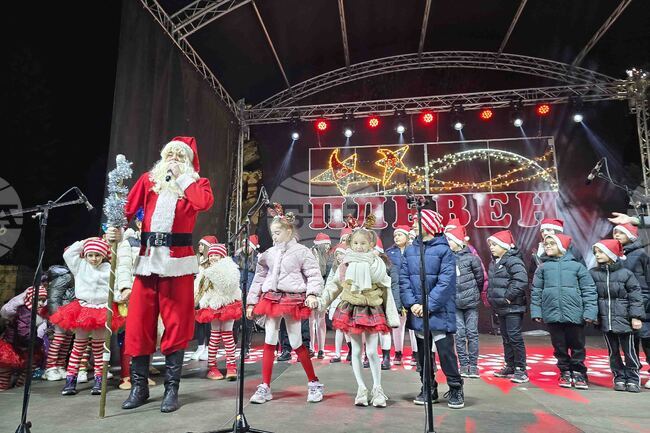 Плевен -  коледна елха - светлини 