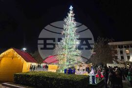 Плевен -  коледна елха - светлини