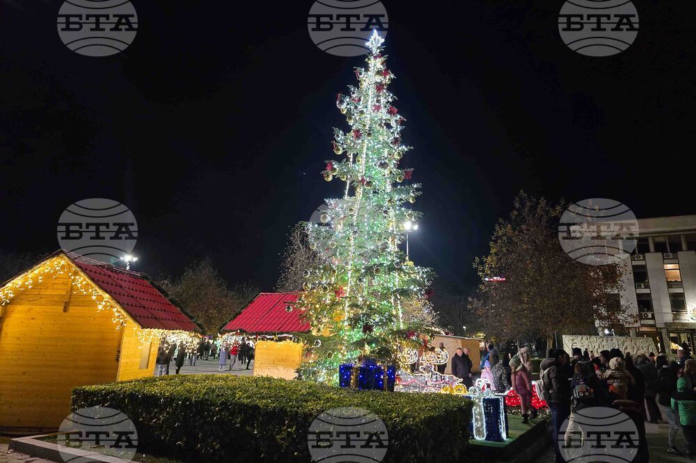 Плевен -  коледна елха - светлини