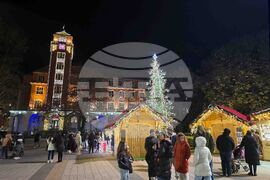 Плевен -  коледна елха - светлини