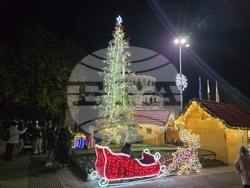 Плевен - коледна елха - площад