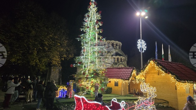 Грейнаха светлините на коледната елха в Плевен