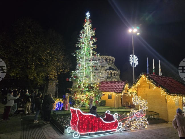 Грейнаха светлините на коледната елха в Плевен