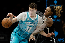 Hornets Nets Basketball