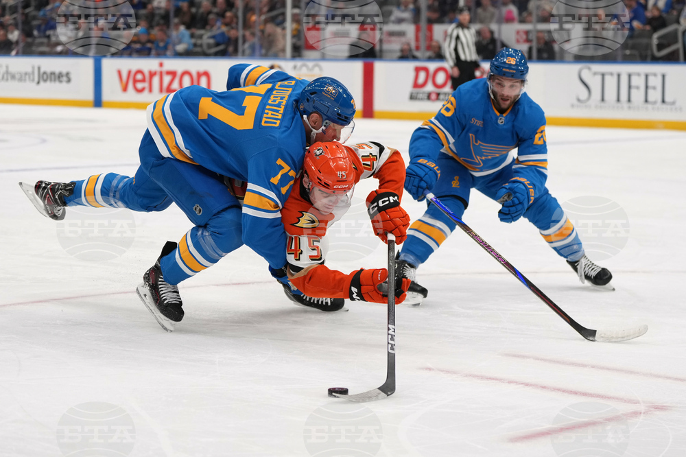 APTOPIX Ducks Blues Hockey