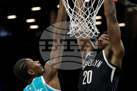 Hornets Nets Basketball