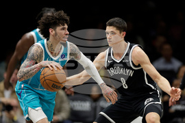 Hornets Nets Basketball