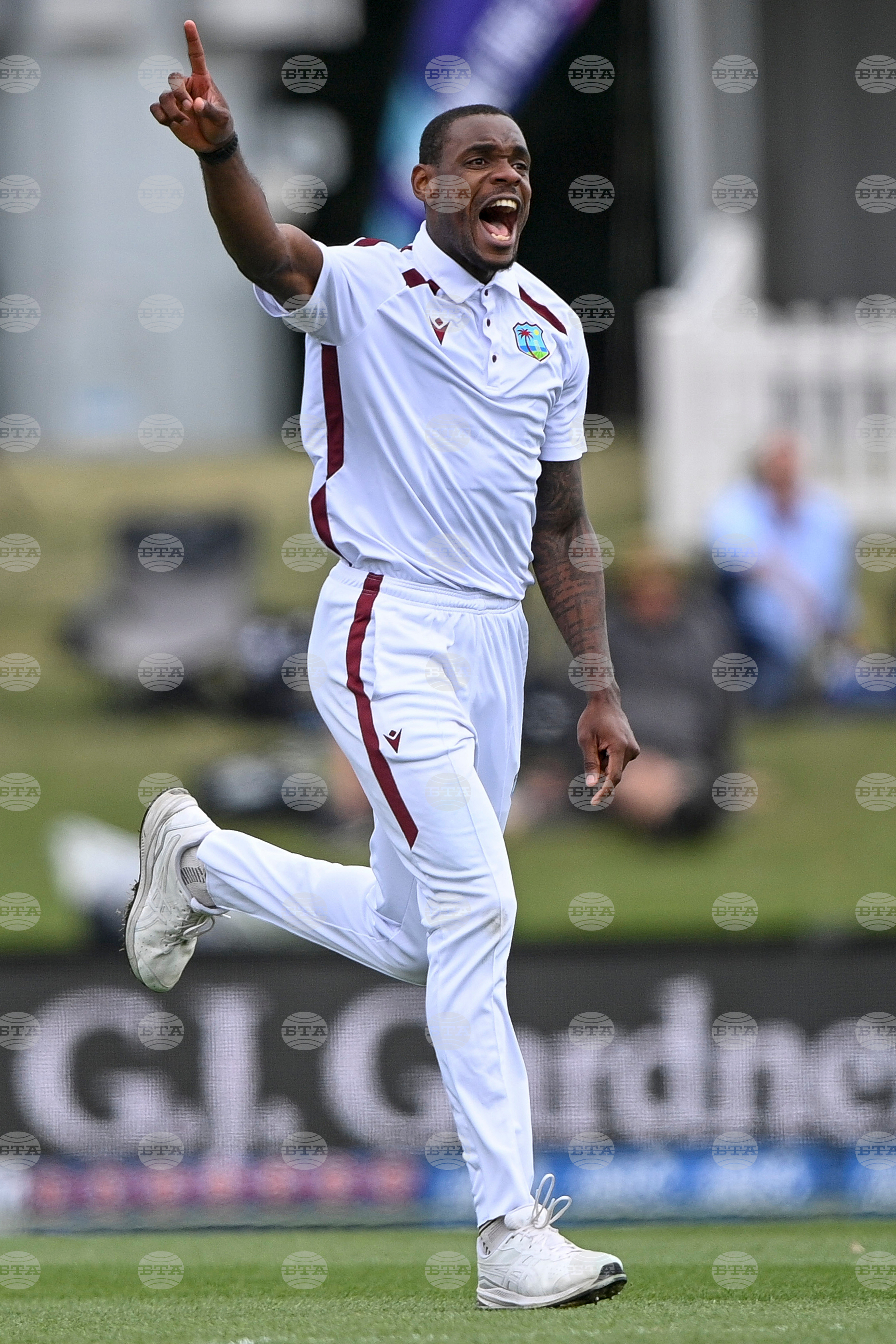 New Zealand West Indies Cricket