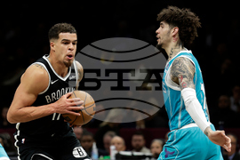 Hornets Nets Basketball