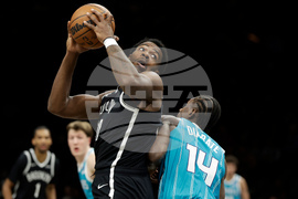 Hornets Nets Basketball