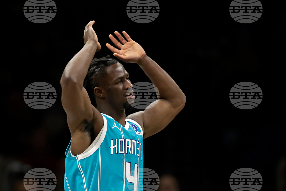 Hornets Nets Basketball