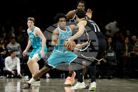 Hornets Nets Basketball