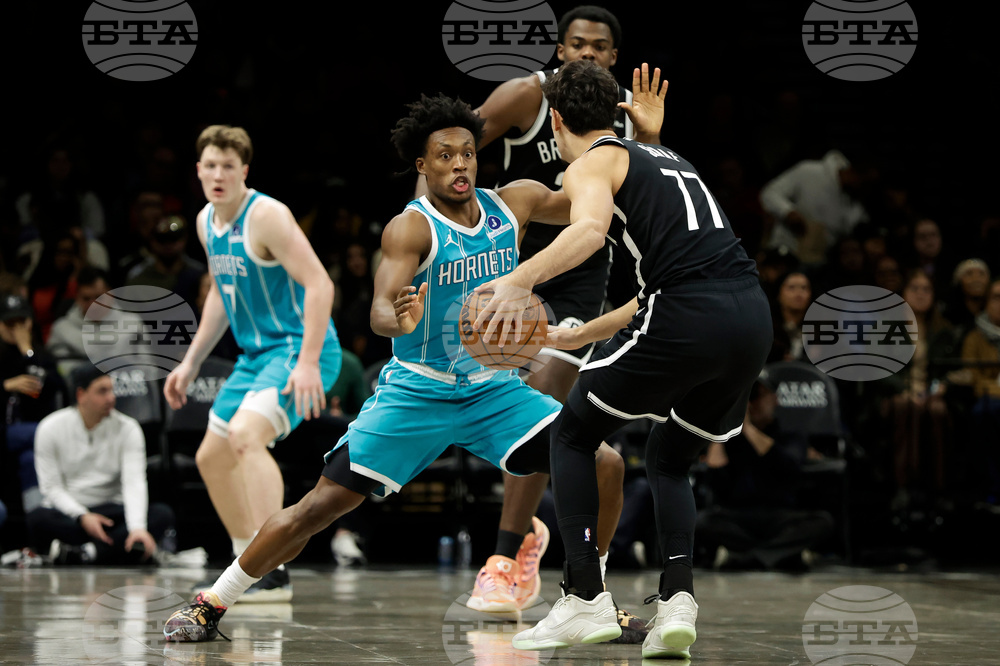 Hornets Nets Basketball